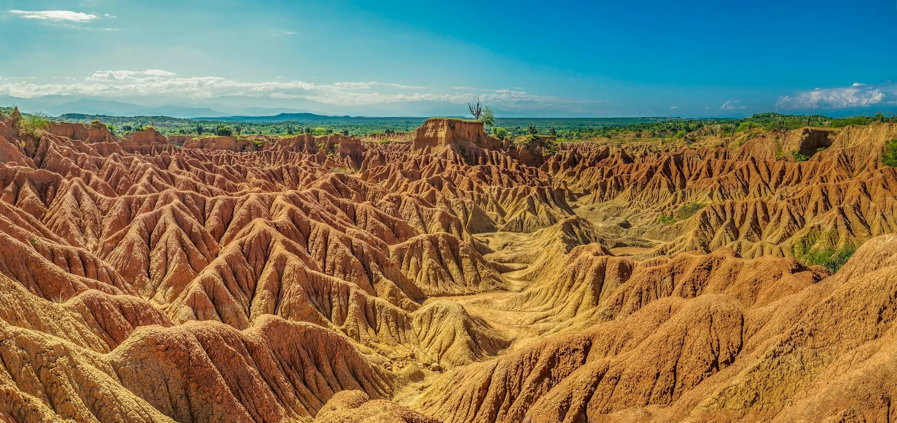 Cañón de arcilla roja y gris del desierto de la Tatacoa, Huila, de día